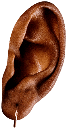 An ear